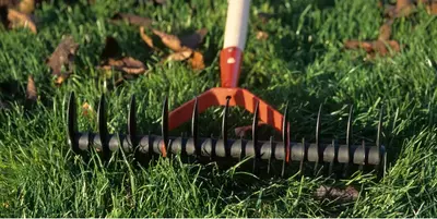 Ręczna skaryfikacja trawnika